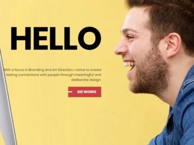 portfolio-theme-skin